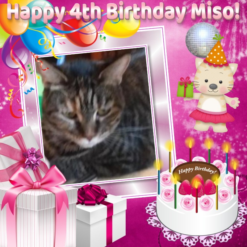Miso of the ups98 family