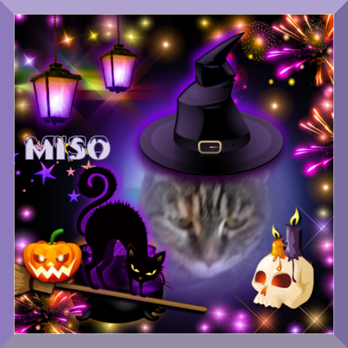 Miso of the ups98 family