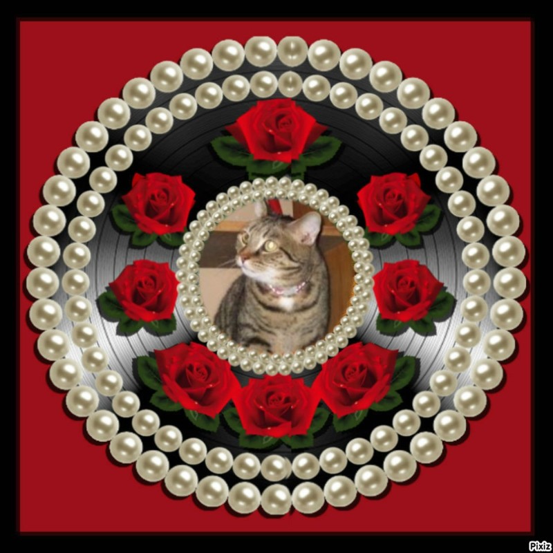 Wasabi of the ups98 family