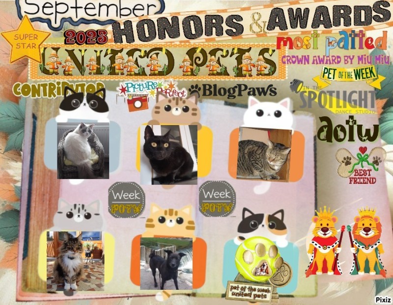 Wasabi of the ups98 family