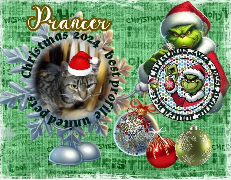 Prancer of the ups98 family