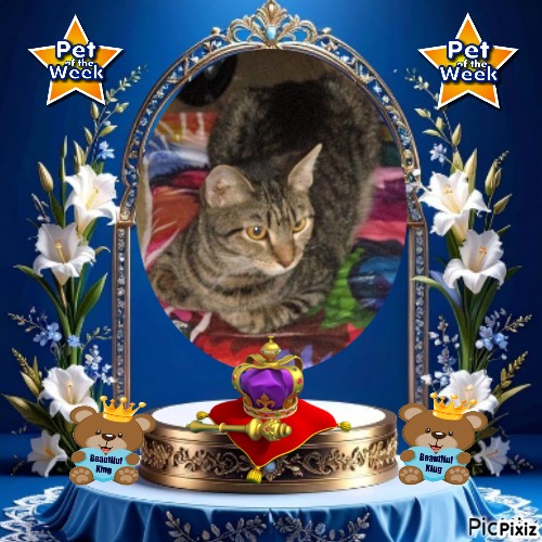 Prancer of the ups98 family