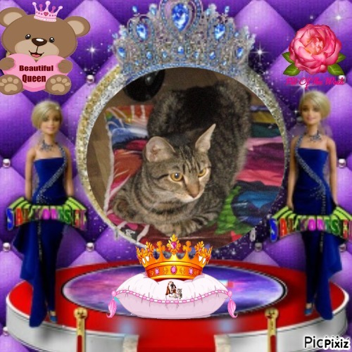 Prancer of the ups98 family