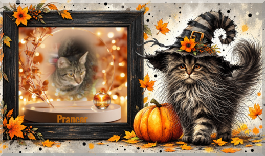 Prancer of the ups98 family