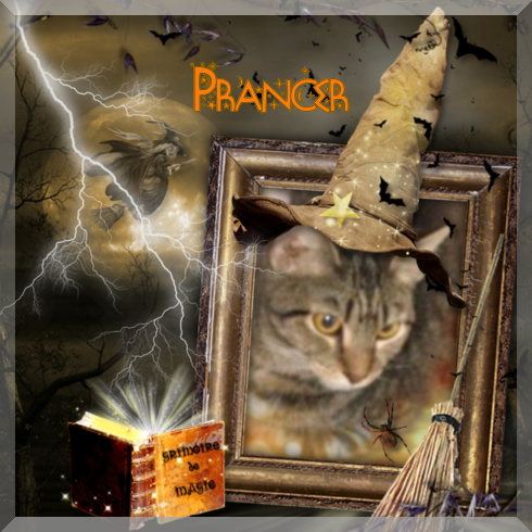 Prancer of the ups98 family