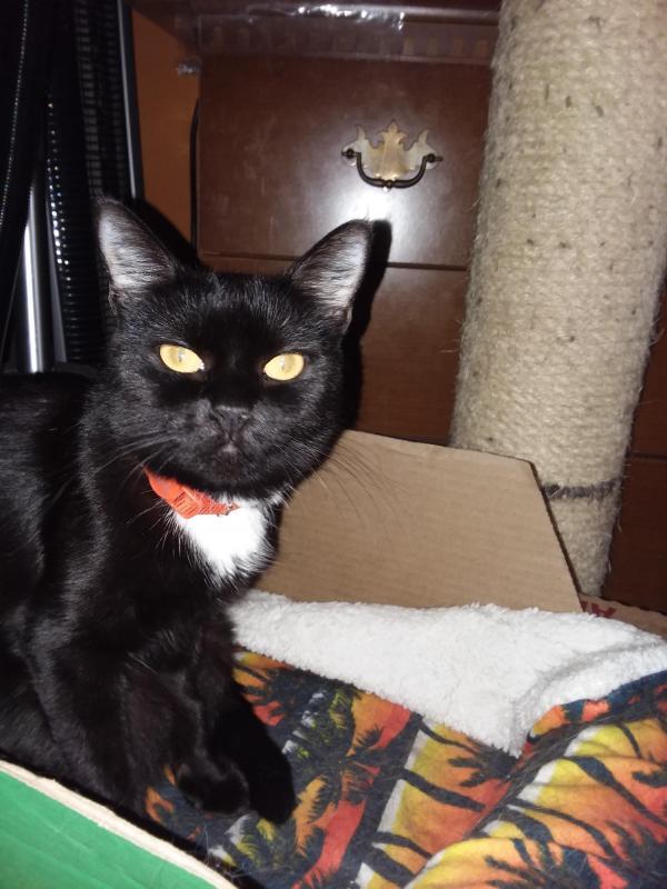 ups98 uploaded   1 year/s ago