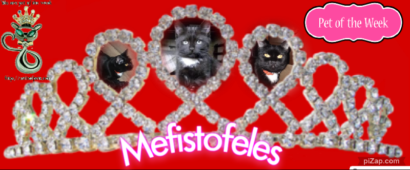 Mephistofiles of the ups98 family