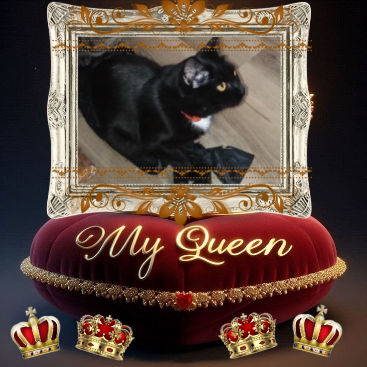 Mephistofiles of the ups98 family