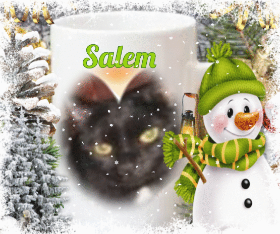 Salem of the ups98 family