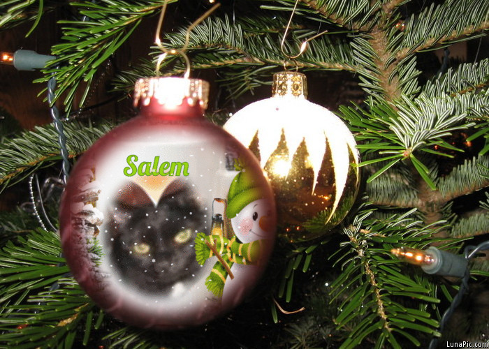 Salem of the ups98 family