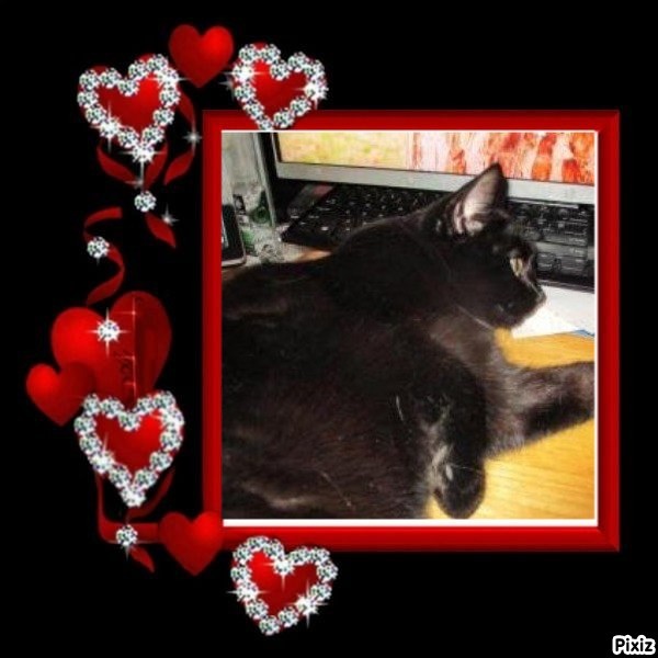 ups98 uploaded   77  day/s  ago