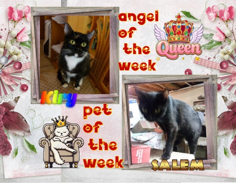 ups98 uploaded   77  day/s  ago