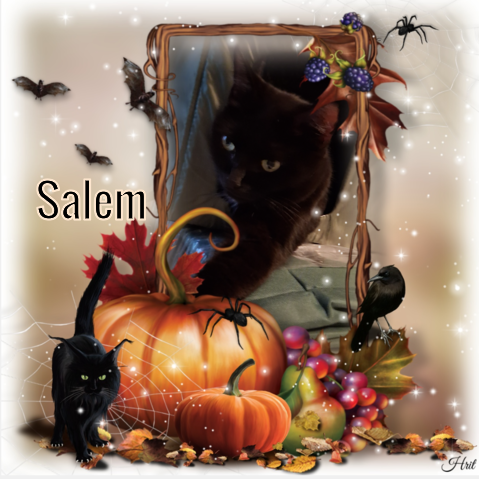 Salem of the ups98 family