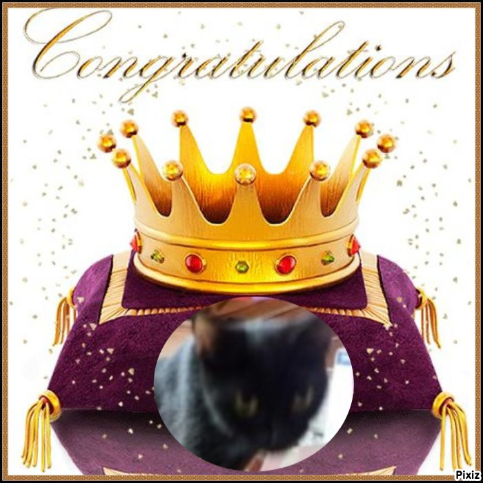 ups98 uploaded   75  day/s  ago