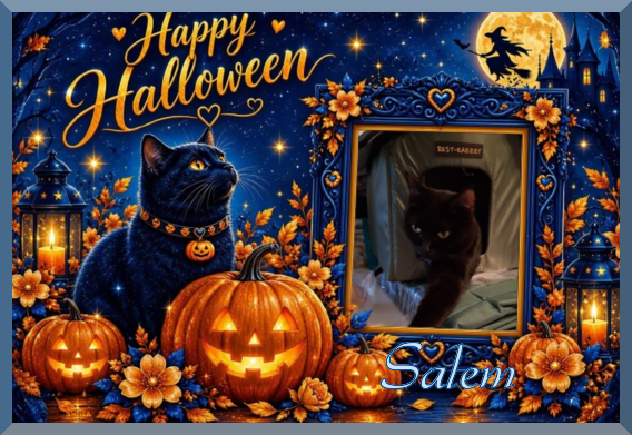 Salem of the ups98 family