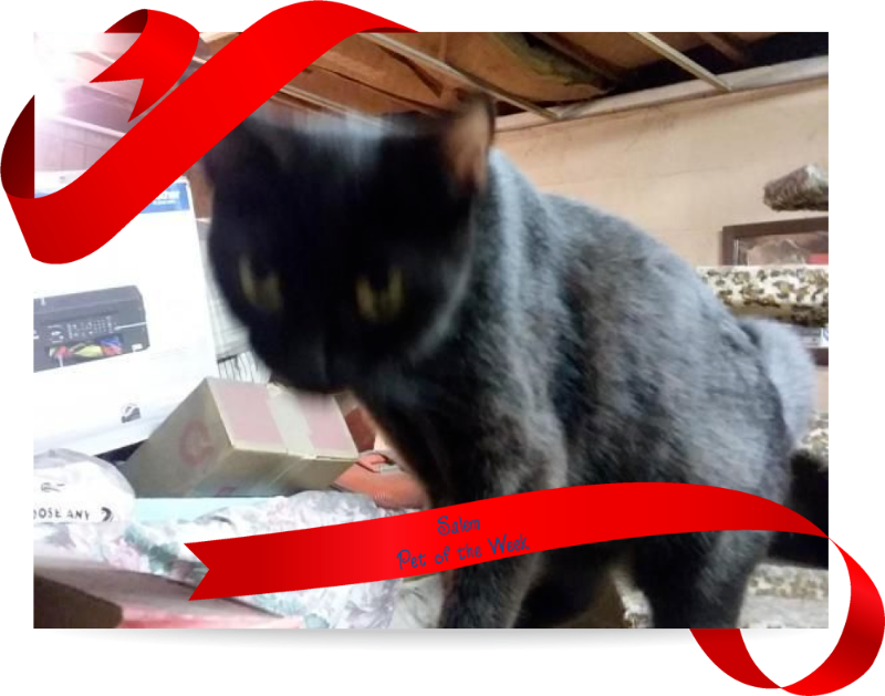 ups98 uploaded   75  day/s  ago