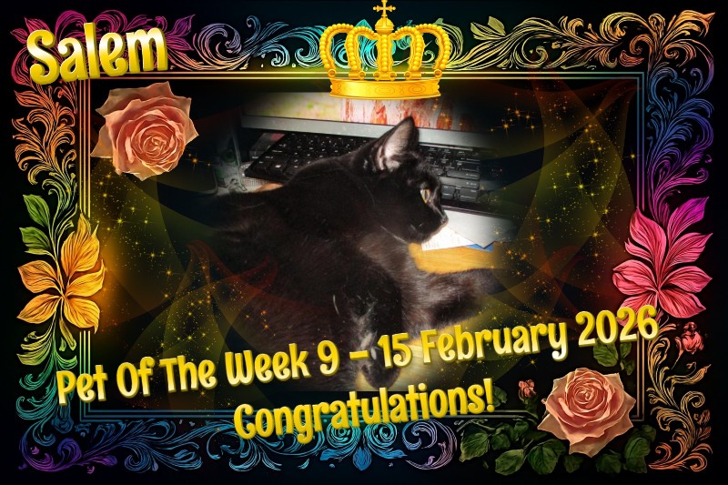 ups98 uploaded   75  day/s  ago