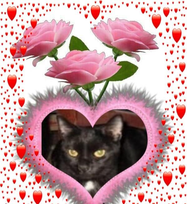 ups98 uploaded   77  day/s  ago