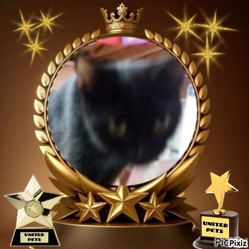 ups98 uploaded   75  day/s  ago