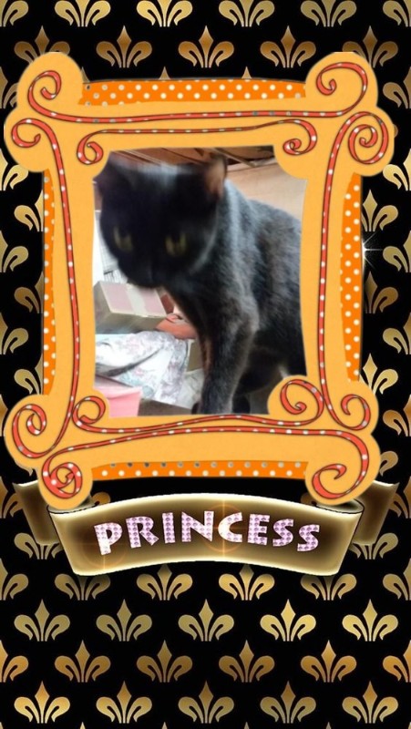 Salem of the ups98 family