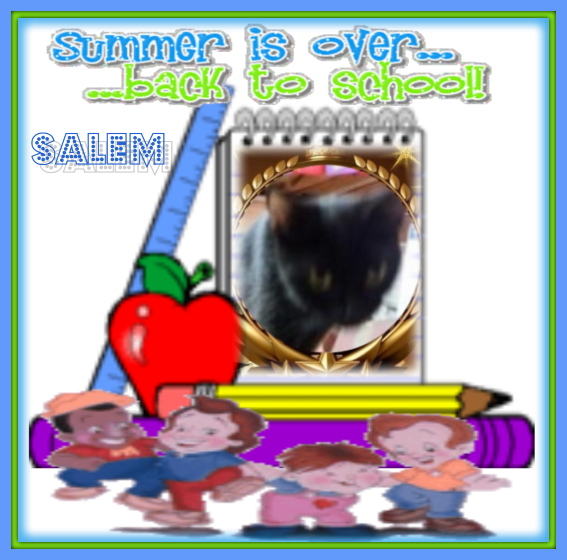 Salem of the ups98 family