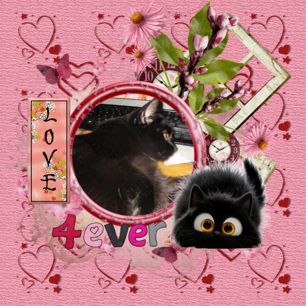 ups98 uploaded   77  day/s  ago