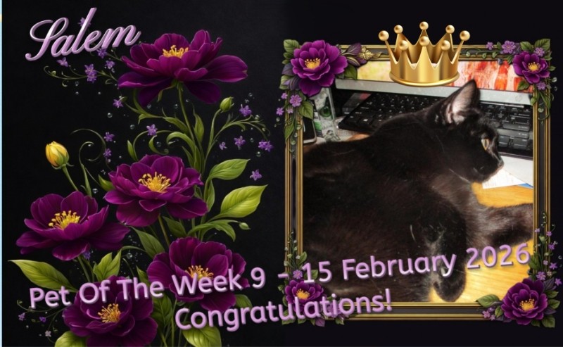 ups98 uploaded   75  day/s  ago