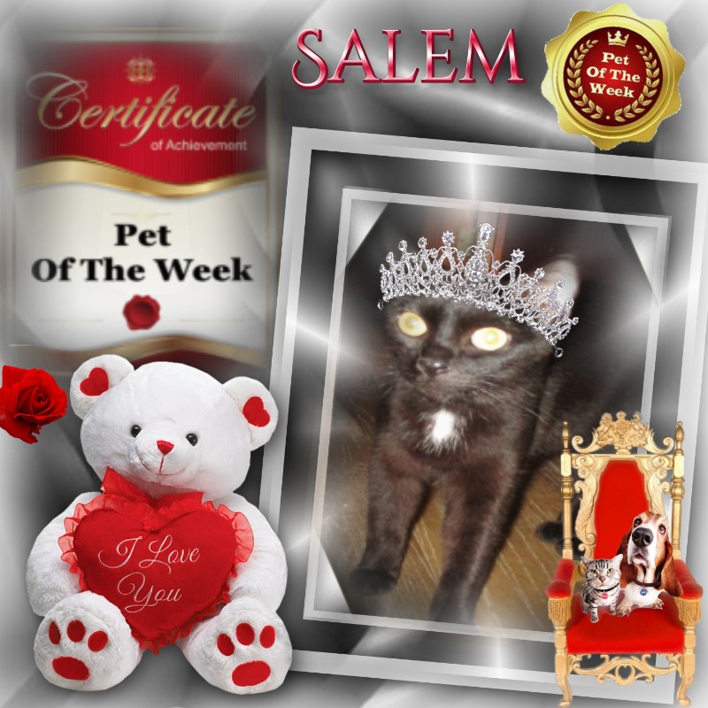 Salem of the ups98 family