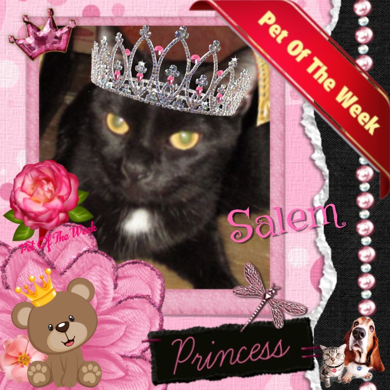 ups98 uploaded   76  day/s  ago