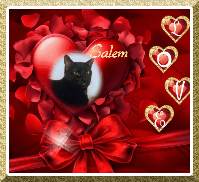 ups98 uploaded   74  day/s  ago