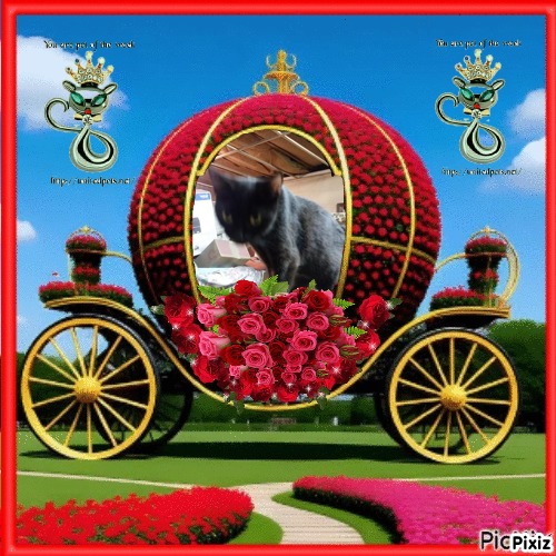 Salem of the ups98 family