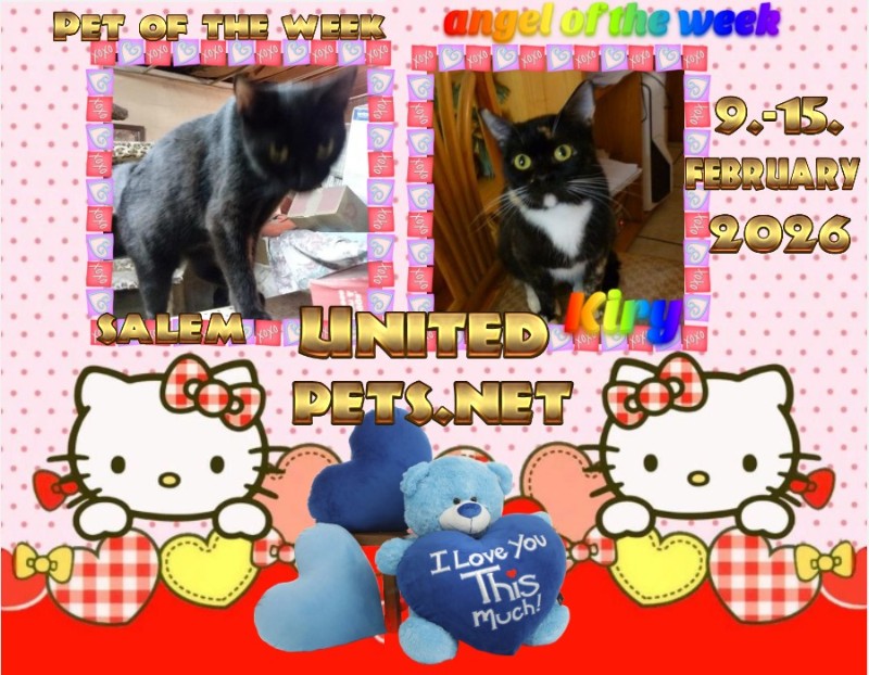 ups98 uploaded   77  day/s  ago