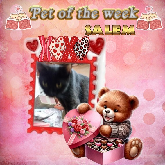 ups98 uploaded   75  day/s  ago