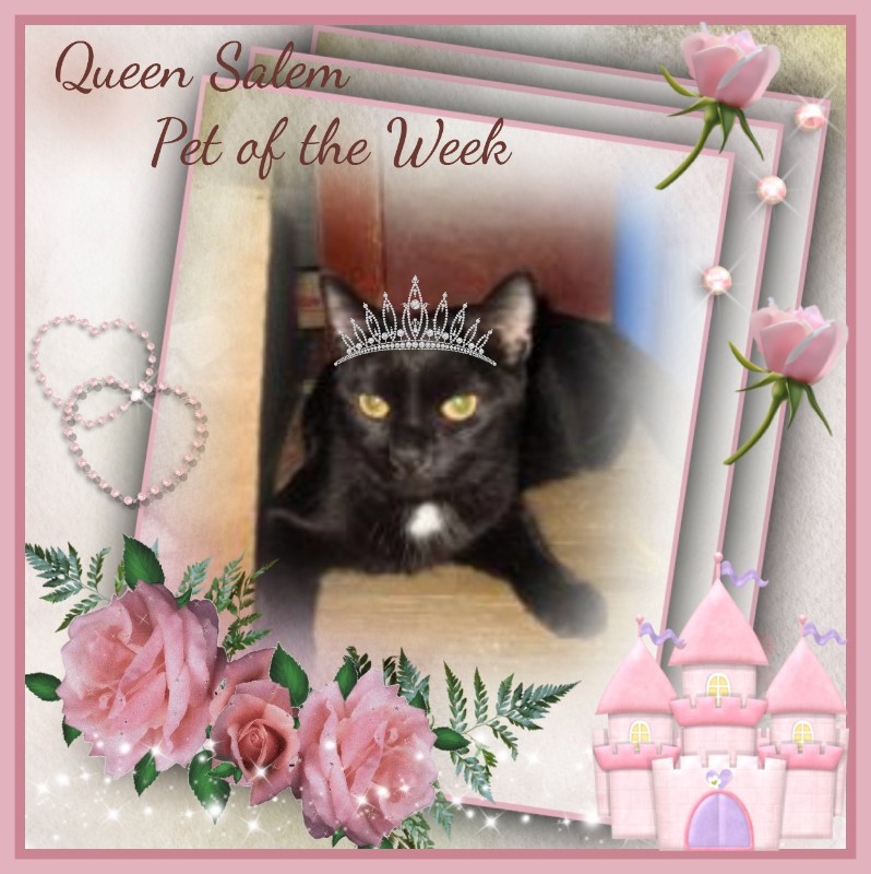 ups98 uploaded   75  day/s  ago