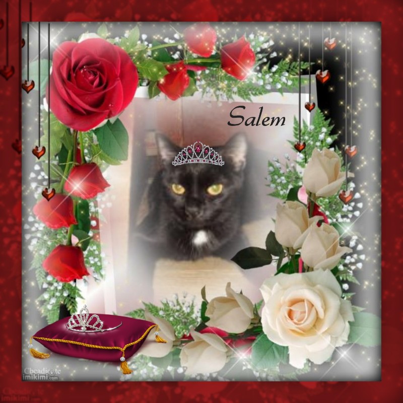 Salem of the ups98 family