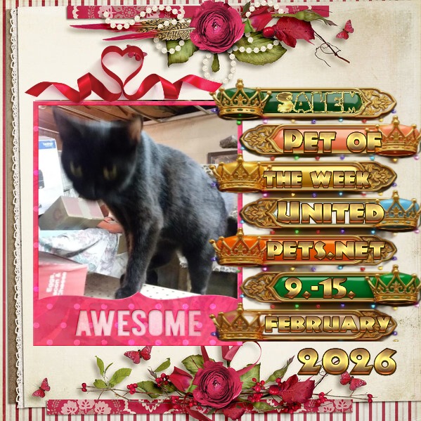 ups98 uploaded   77  day/s  ago