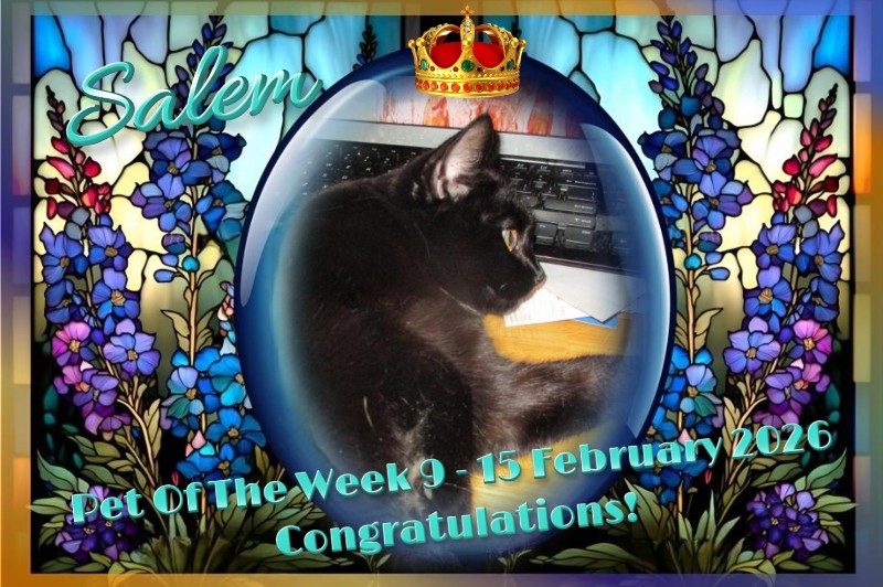 ups98 uploaded   75  day/s  ago