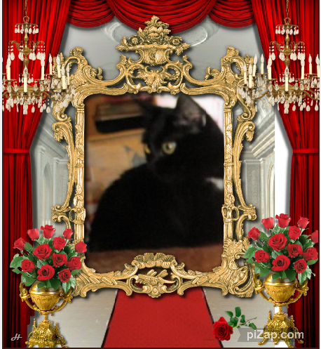 ups98 uploaded   74  day/s  ago