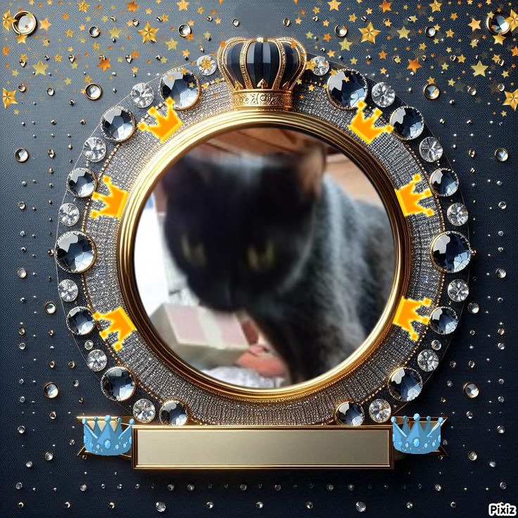 Salem of the ups98 family