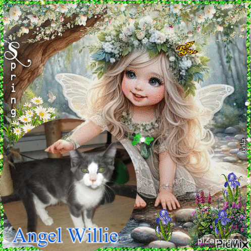 Angel Willie of the ups98 family