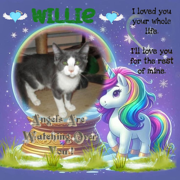 Angel Willie of the ups98 family