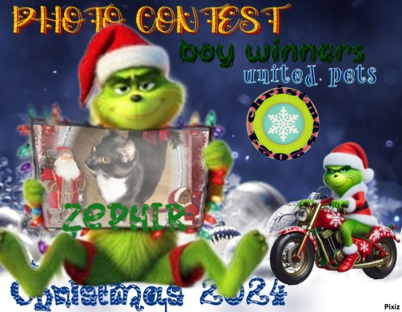 Zephyr of the ups98 family