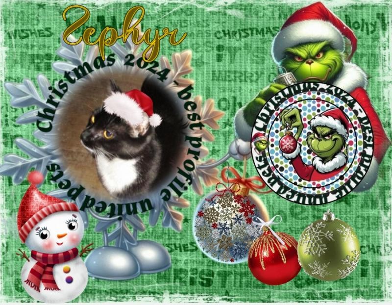 Zephyr of the ups98 family