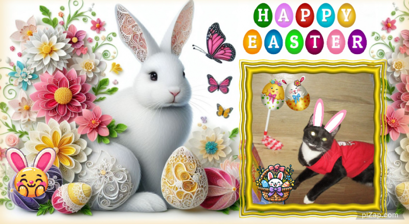 Zephyr of the ups98 family