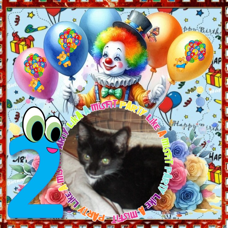 Zephyr of the ups98 family