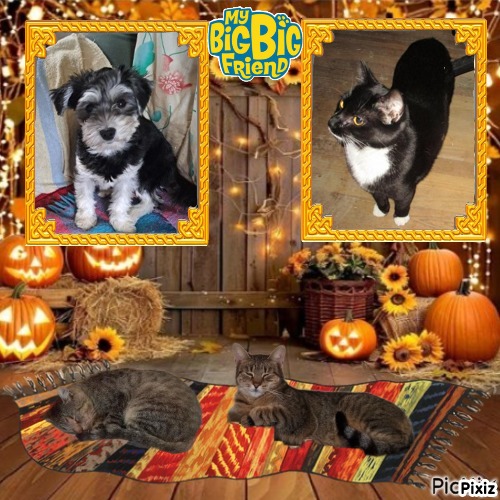 Zephyr of the ups98 family