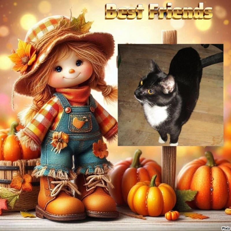 Zephyr of the ups98 family