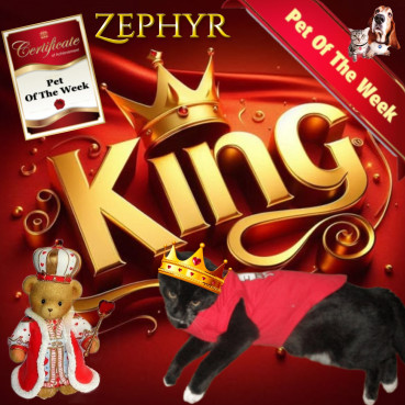 Zephyr of the ups98 family