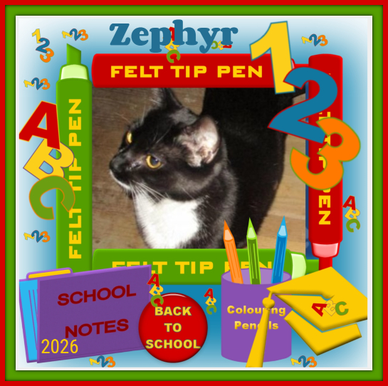 Zephyr of the ups98 family