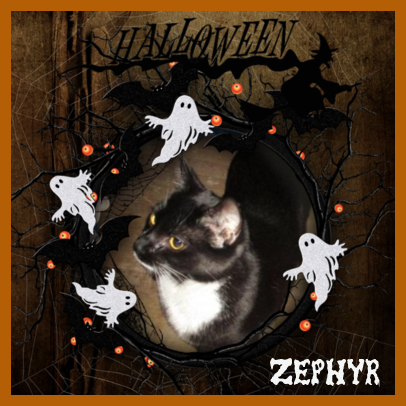 Zephyr of the ups98 family